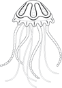 Jellyfish4