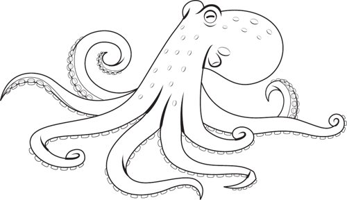 Octopus