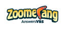 Zoomerang Logo Small