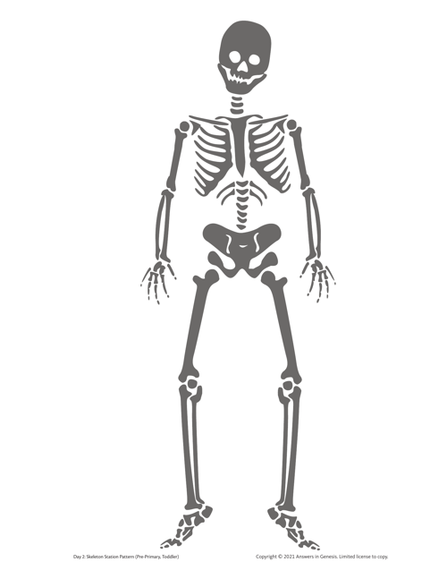 Day 2 Skeleton Station Pattern