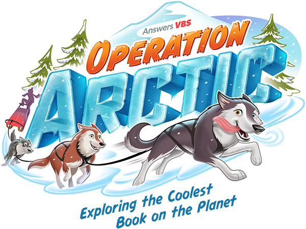 Operation Arctic