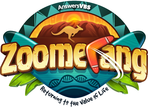 Zoomerang